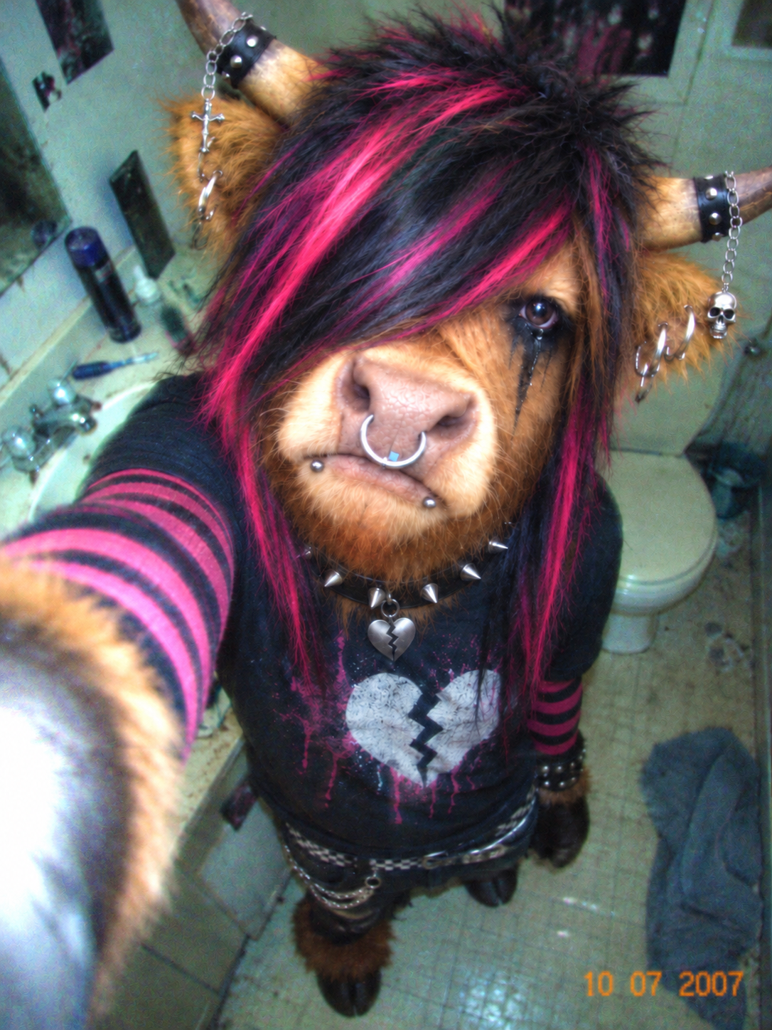 EMOO the ginger bull taking a dramatic high-angle emo bathroom selfie