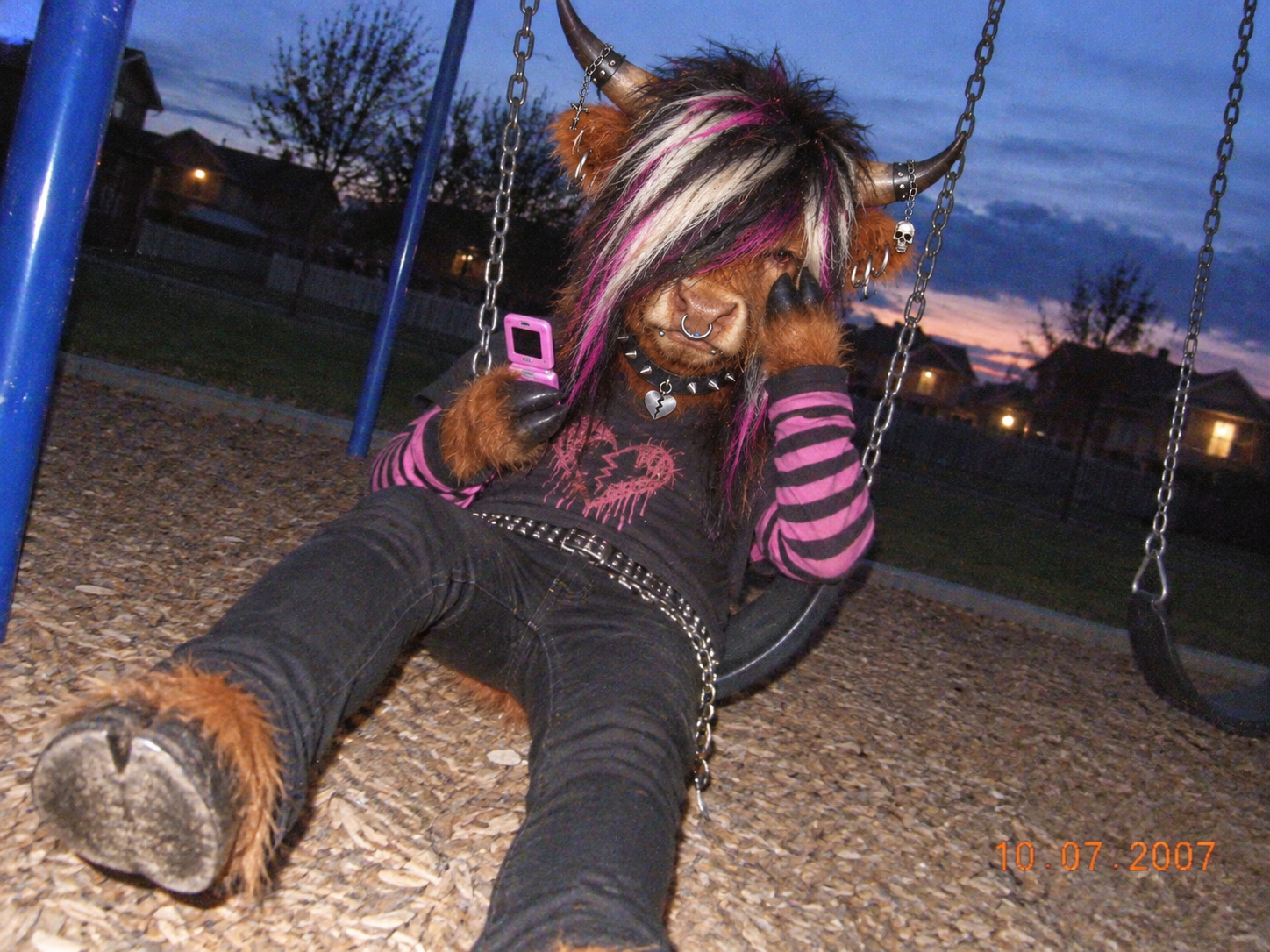 Emo bull on a playground swing with a flip phone, photographed with an old digital camera
